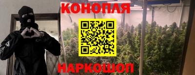 гашик Лесосибирск