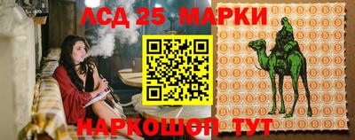 гашик Лесосибирск