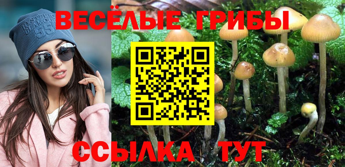 Псилоцибиновые грибы Cubensis Янаул