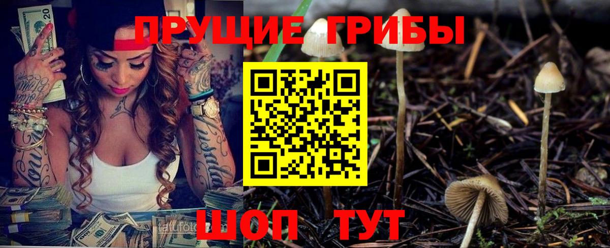 Галлюциногенные грибы Psilocybe  Псилоцибиновые грибы MAGIC MUSHROOMS  Янаул  Вход с VPN 
